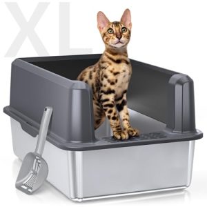 Best Litter Box for Large Cats