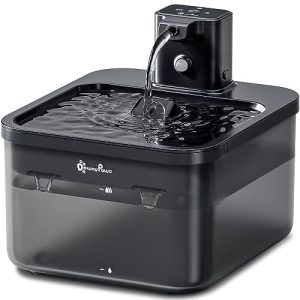 Best Wireless Cat Water Fountain