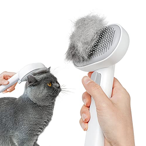 Cat Brush for Maine Coon